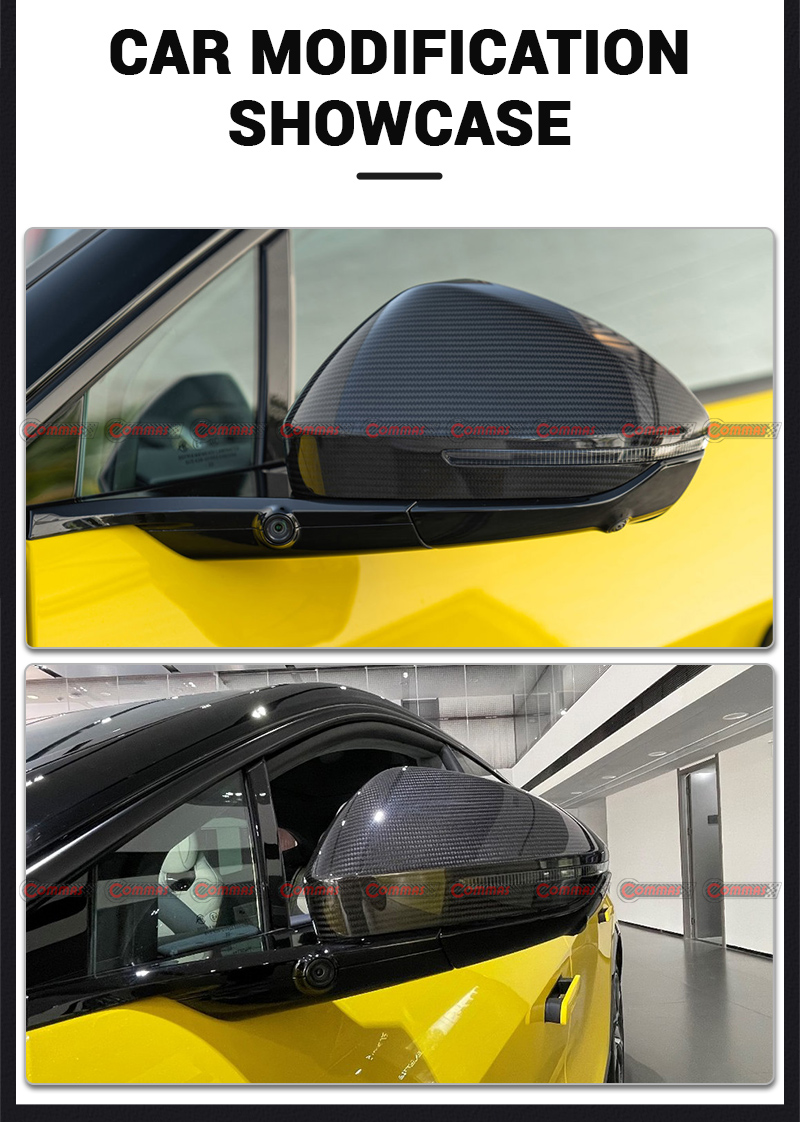 غطاء مرآة لوتس إليتر OEM