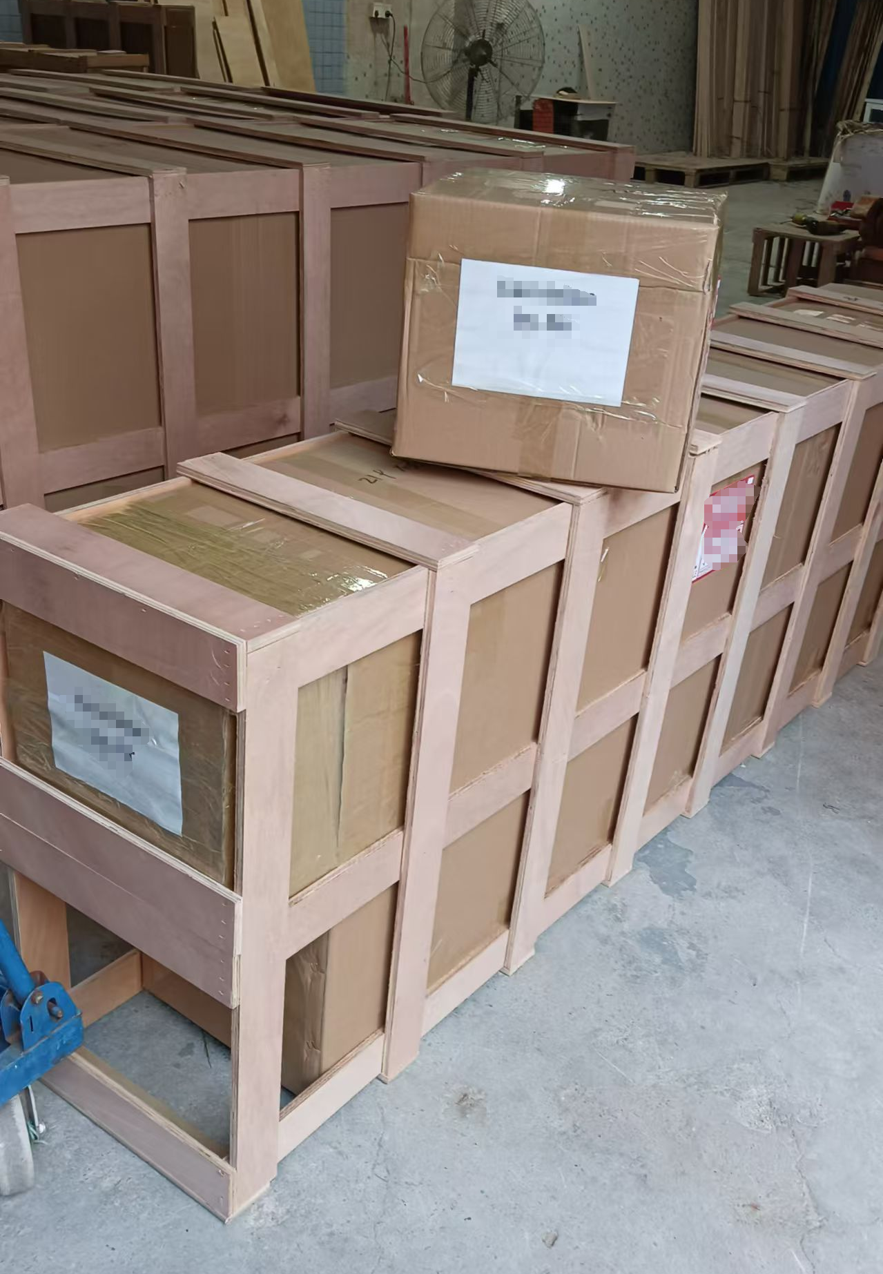 الصورة_20241108164214